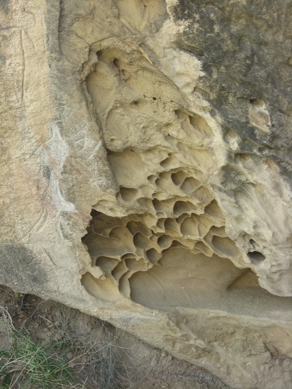 Petroglyph of human. Gobustan, Azerbaijan. Фото: Interfase, Public domain, Викисклад