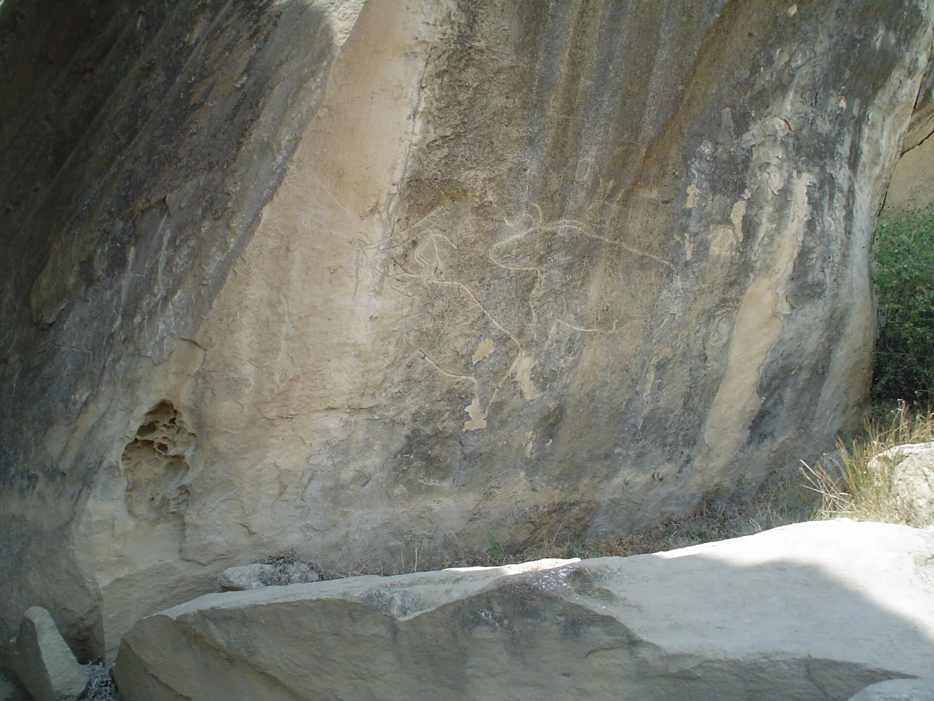 2008-07-14 Qobustan, Azerbaijan: Petroglyphs of oxen. In the Qobustan Petroglyph Reserve there are more than 6,000 petroglyphs carved by the hunter-gatherers that lived in these caves 12,000 years ago. At that time the C. Фото: Aleksander Dragnes from Oslo, Norway, CC BY 2.0, Викисклад