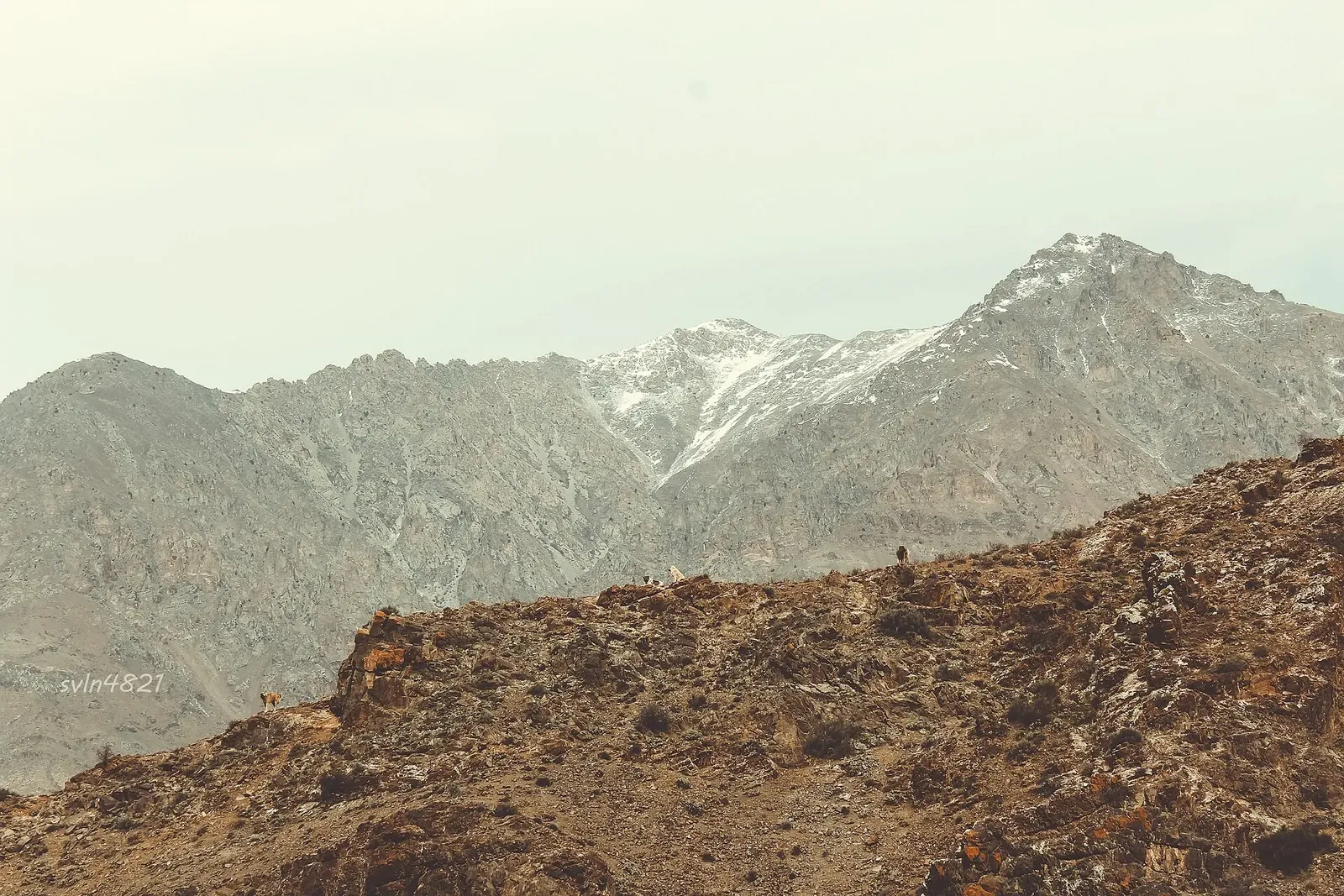 mountains of Ordubad. Фото: Svln4821, CC BY-SA 4.0, Викисклад