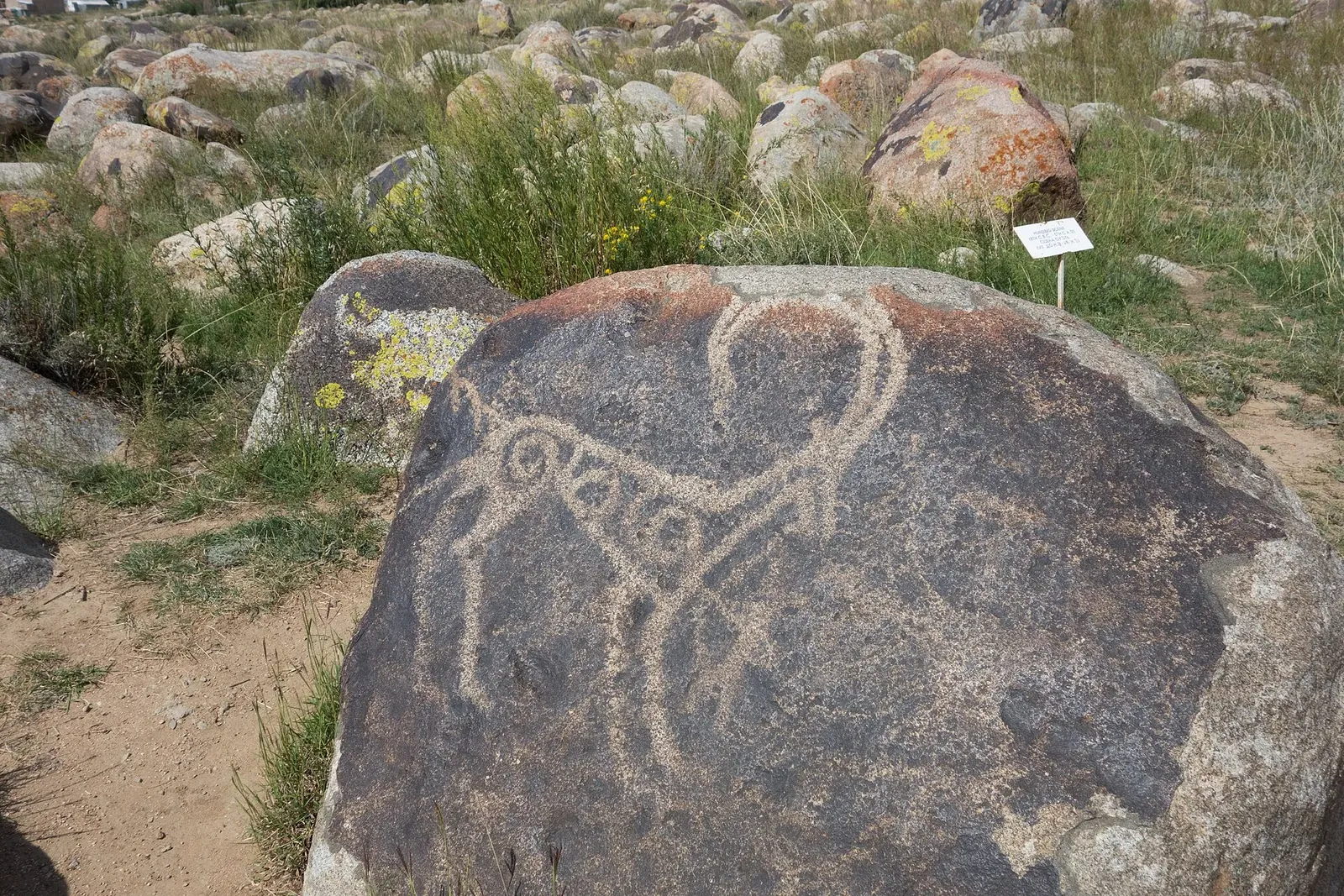 Ibex, petroglyph, the Sak-Usun period, 800 BC to 500 AD. (According the board: goat.) The State Historical open air Museum Issyk-Kull at Cholpon-Ata, Kyrgyzstan.. Фото: Zde, CC BY-SA 4.0, Викисклад