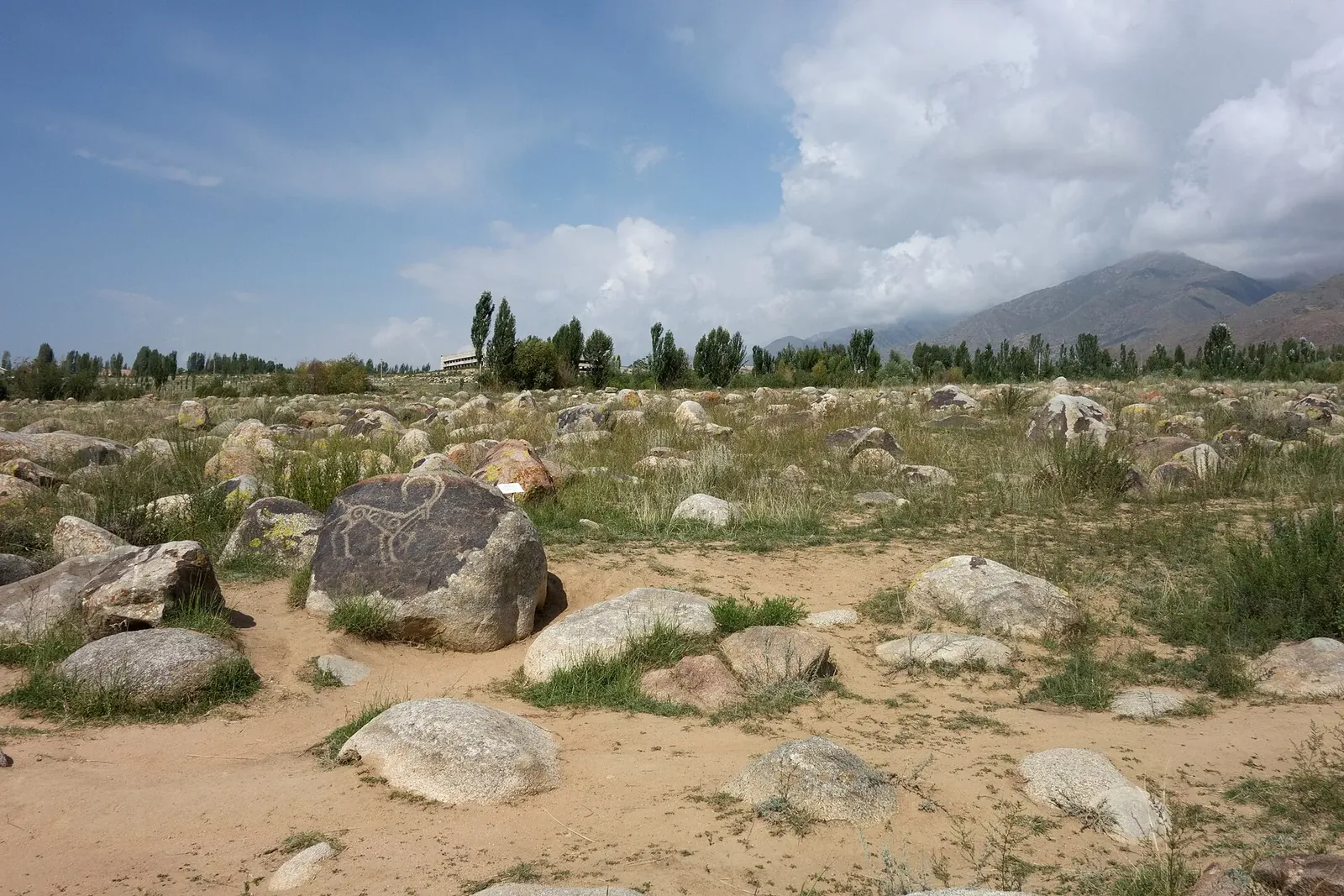 Ibex, petroglyph, the Sak-Usun period, 800 BC to 500 AD. (According the board: goat.) The State Historical open air Museum Issyk-Kull at Cholpon-Ata, Kyrgyzstan.. Фото: Zde, CC BY-SA 4.0, Викисклад