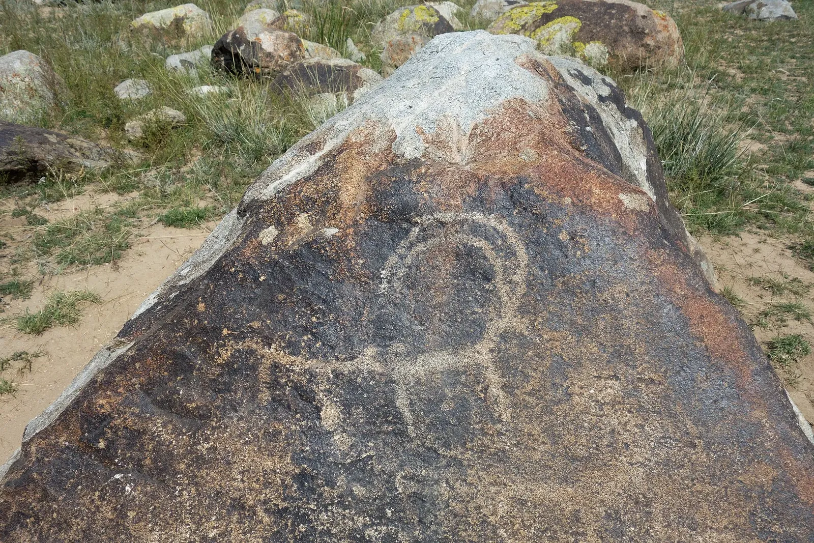 Ibexes. Petroglyphs, the Sak-Usun period, 800 BC to 500 AD. (According the board: goats.) The State Historical open air Museum Issyk-Kull at Cholpon-Ata, Kyrgyzstan.. Фото: Zde, CC BY-SA 4.0, Викисклад