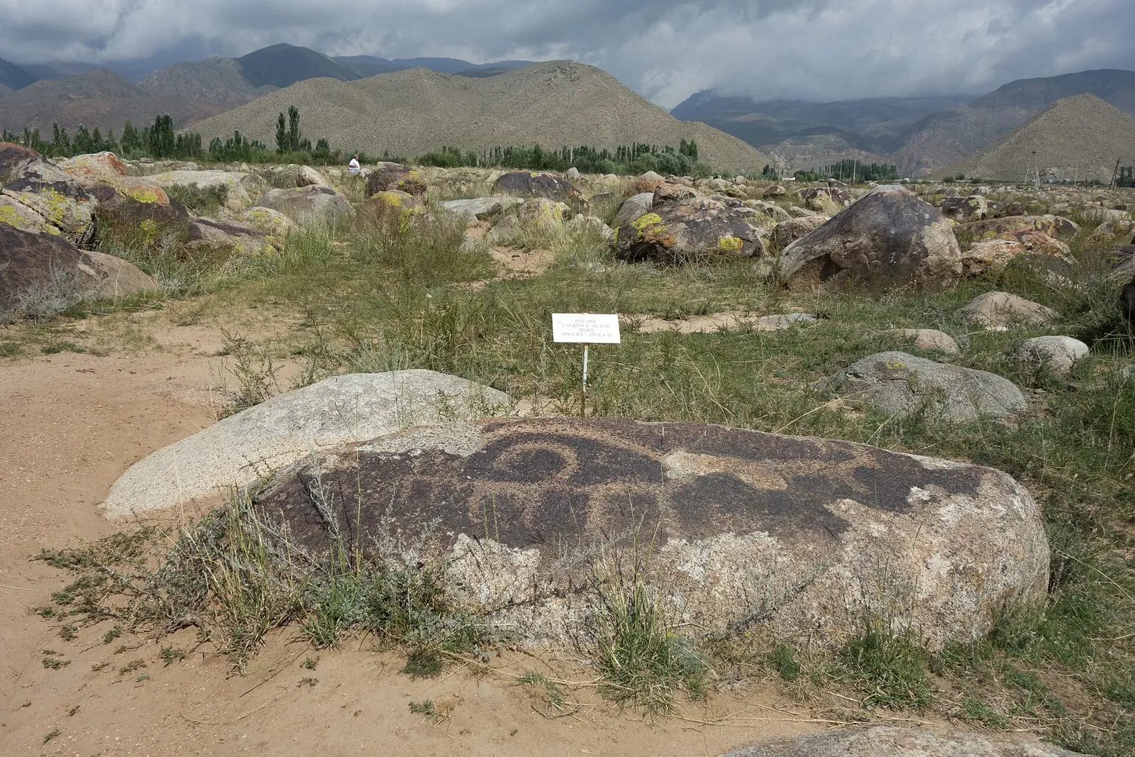 Ibexes. Petroglyphs, the Sak-Usun period, 800 BC to 500 AD. (According the board: goats.) The State Historical open air Museum Issyk-Kull at Cholpon-Ata, Kyrgyzstan.. Фото: Zde, CC BY-SA 4.0, Викисклад