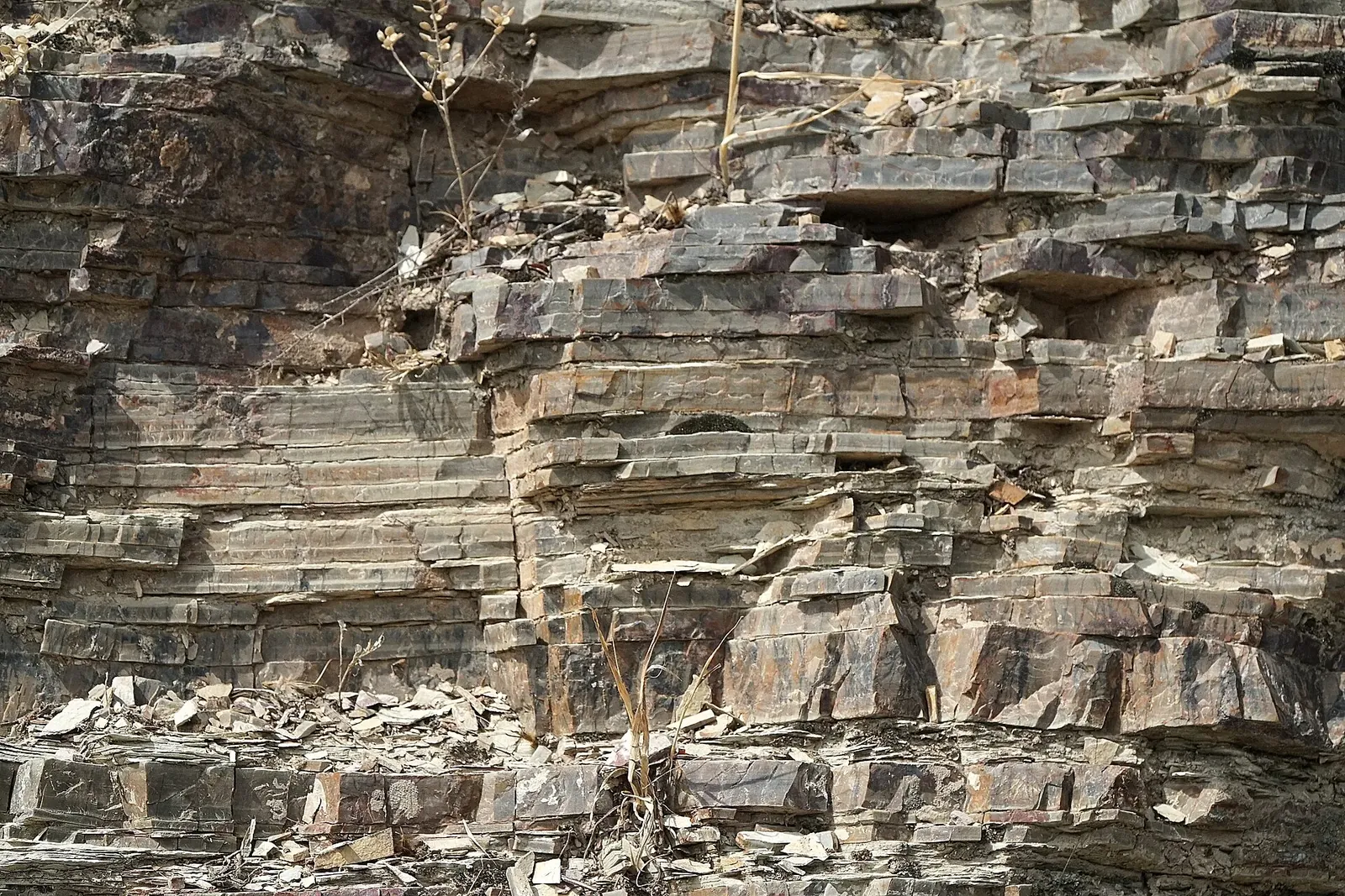 Geology of Sulayman Mountain. Фото: Adam Harangozó, CC BY-SA 4.0, Викисклад