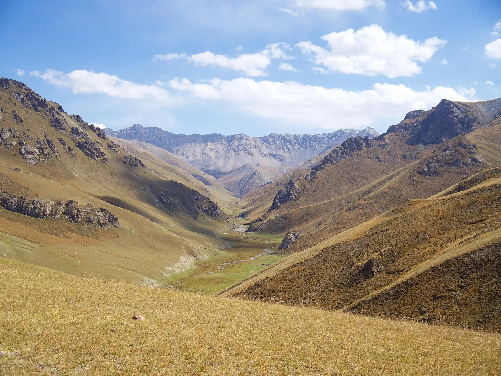 Landscape south of Tash Rabat in Kyrgyzstan. Фото: Laurent de Walick, CC BY 2.0, Викисклад