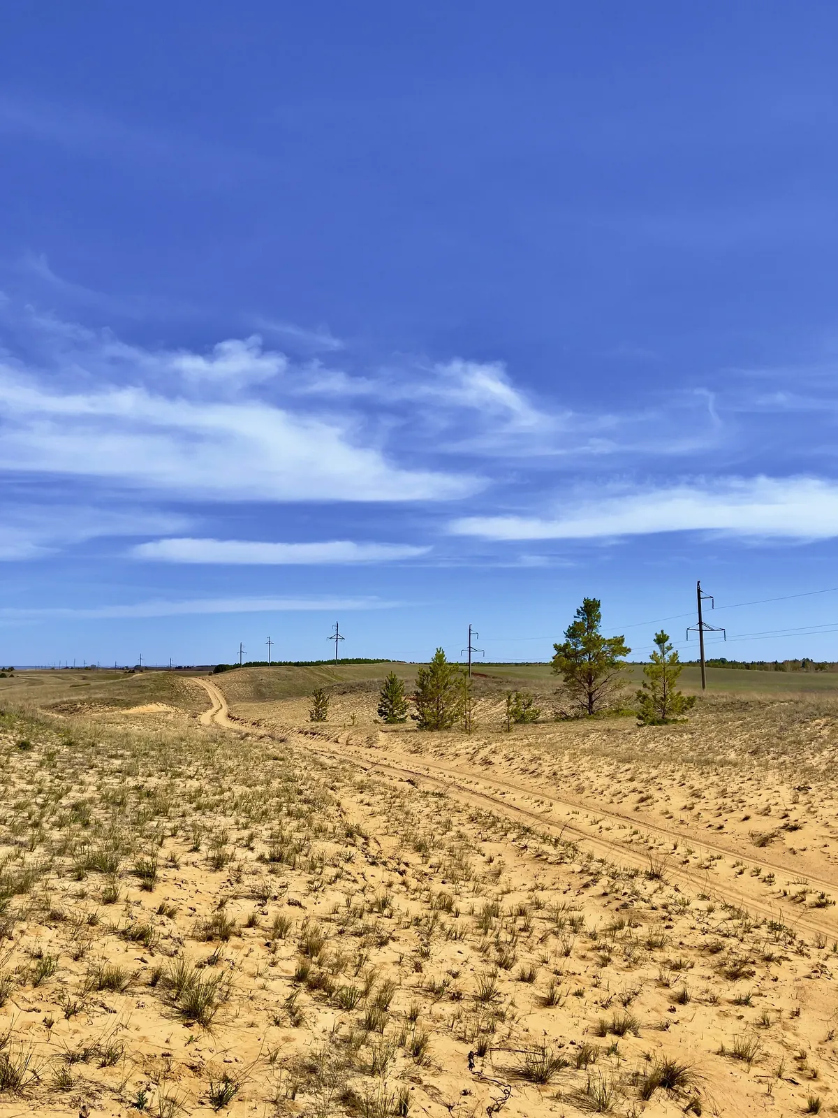Naurzum Nature Reserve. Фото: Kamilaamanbayeva, CC BY-SA 4.0, Викисклад