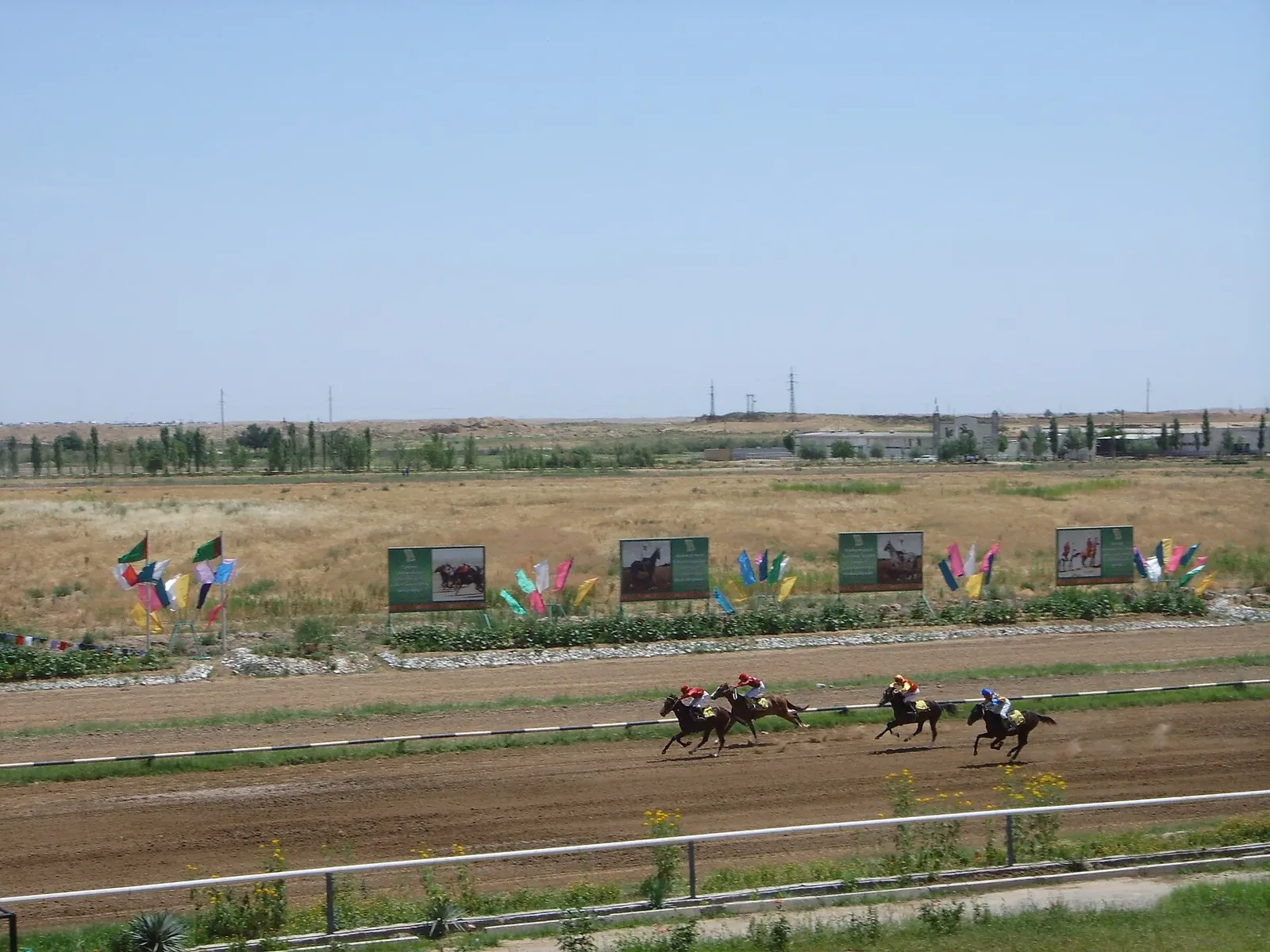 Tekes are used in Turkmenistan for racing. Фото: Sypey, CC BY-SA 3.0, Викисклад