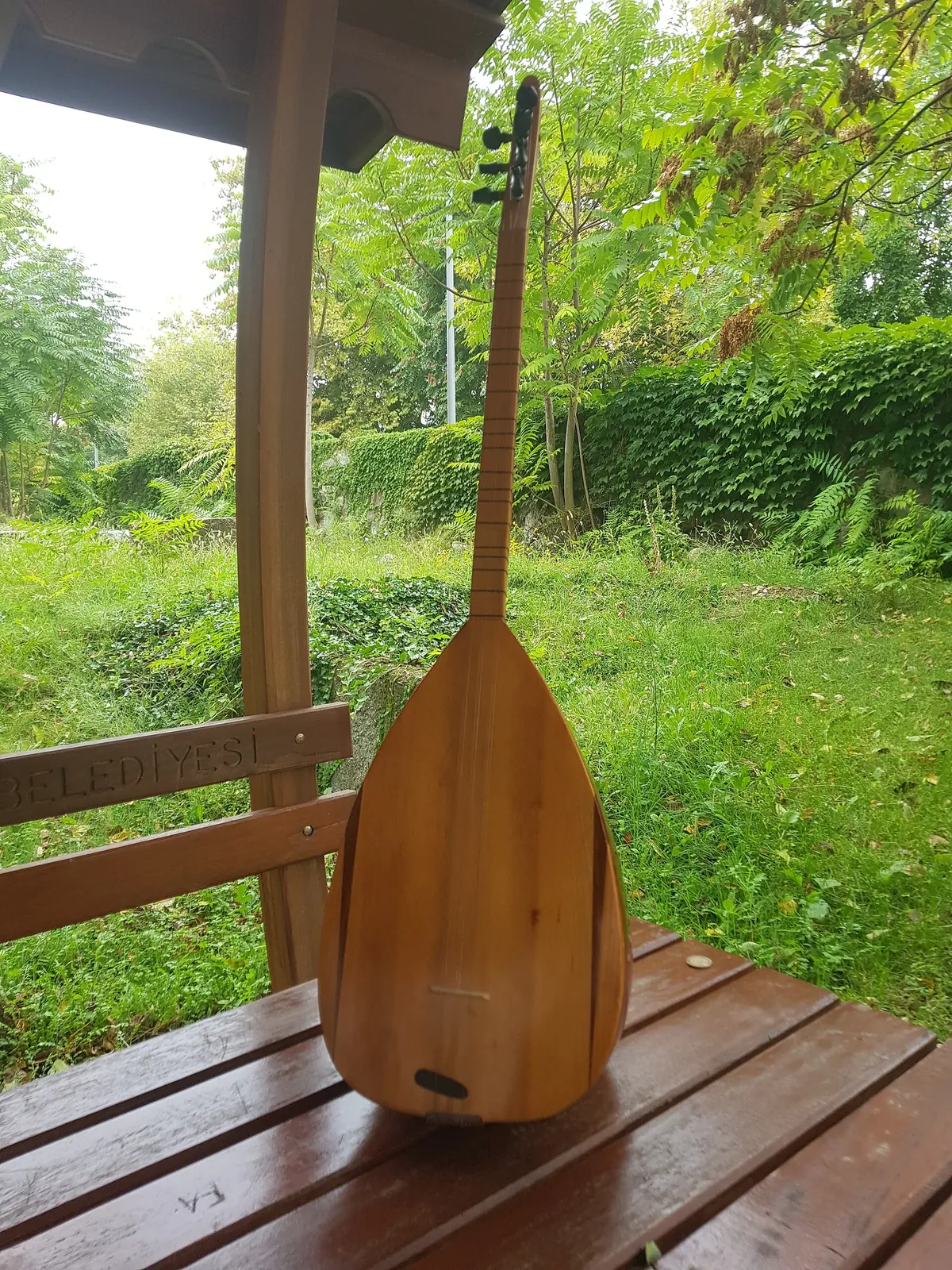 Bağlama. Фото: Sakhalinio, CC BY-SA 4.0, Викисклад