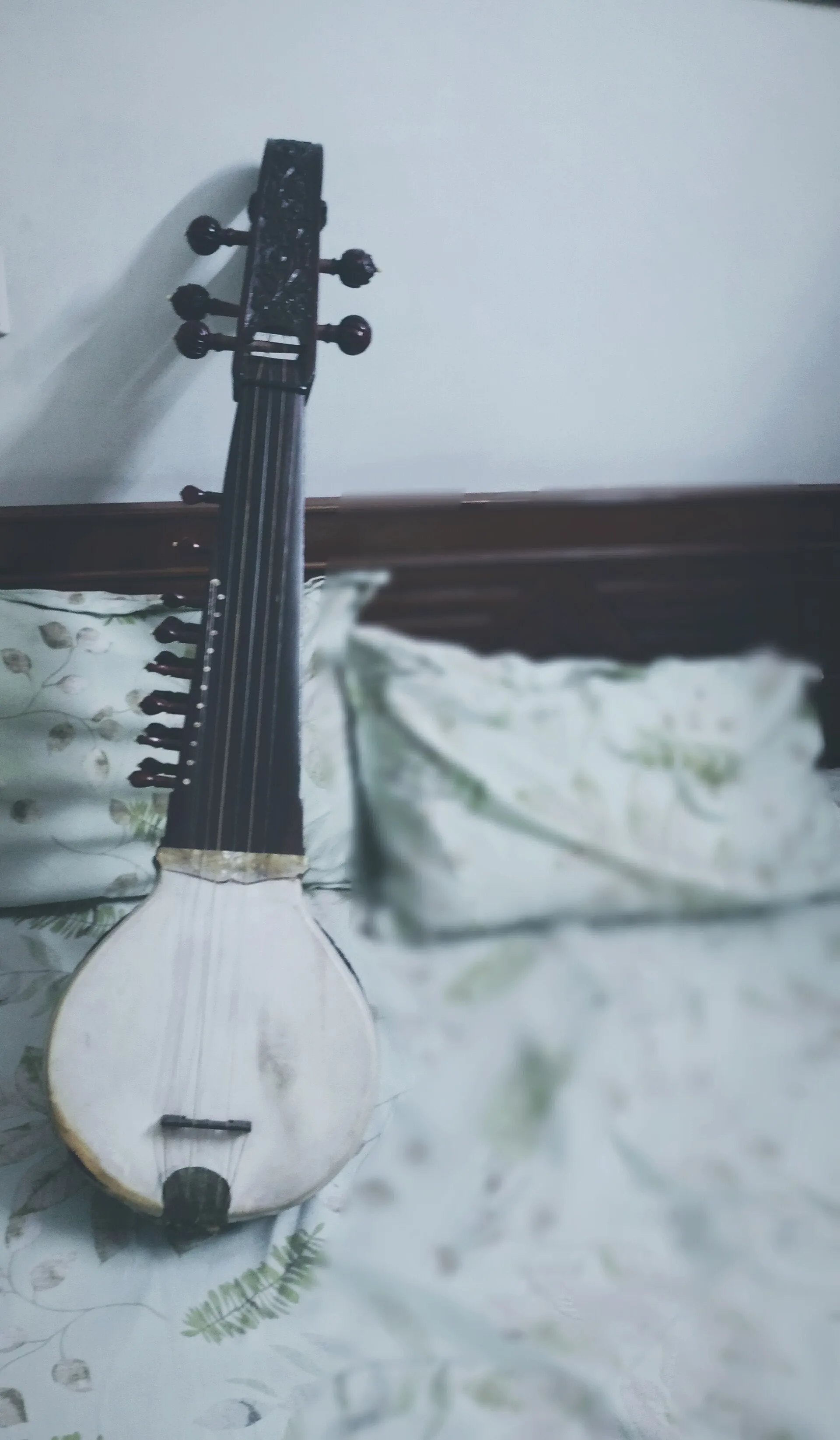 Bhai Mardana was a famous Rabab player, he uses to play Afghani Rabab but when he met Guru Nanak then Guru Nanak prepared a new design of rabab which is now known as firandia rabab or indian rabab. Фото: Historiansimar, CC BY-SA 4.0, Викисклад